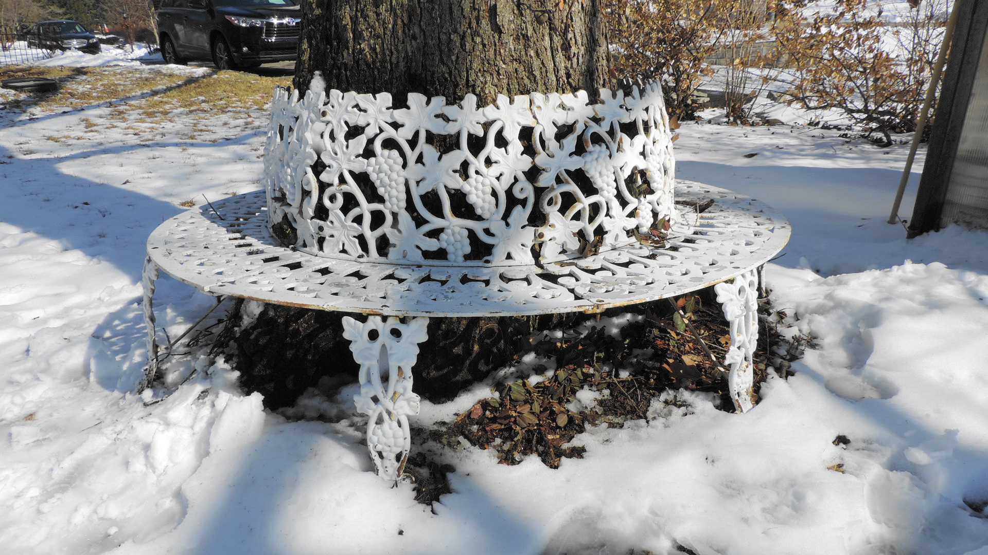 Cast Iron Wrap Around Tree Bench EBTH   DSCN6409.JPG