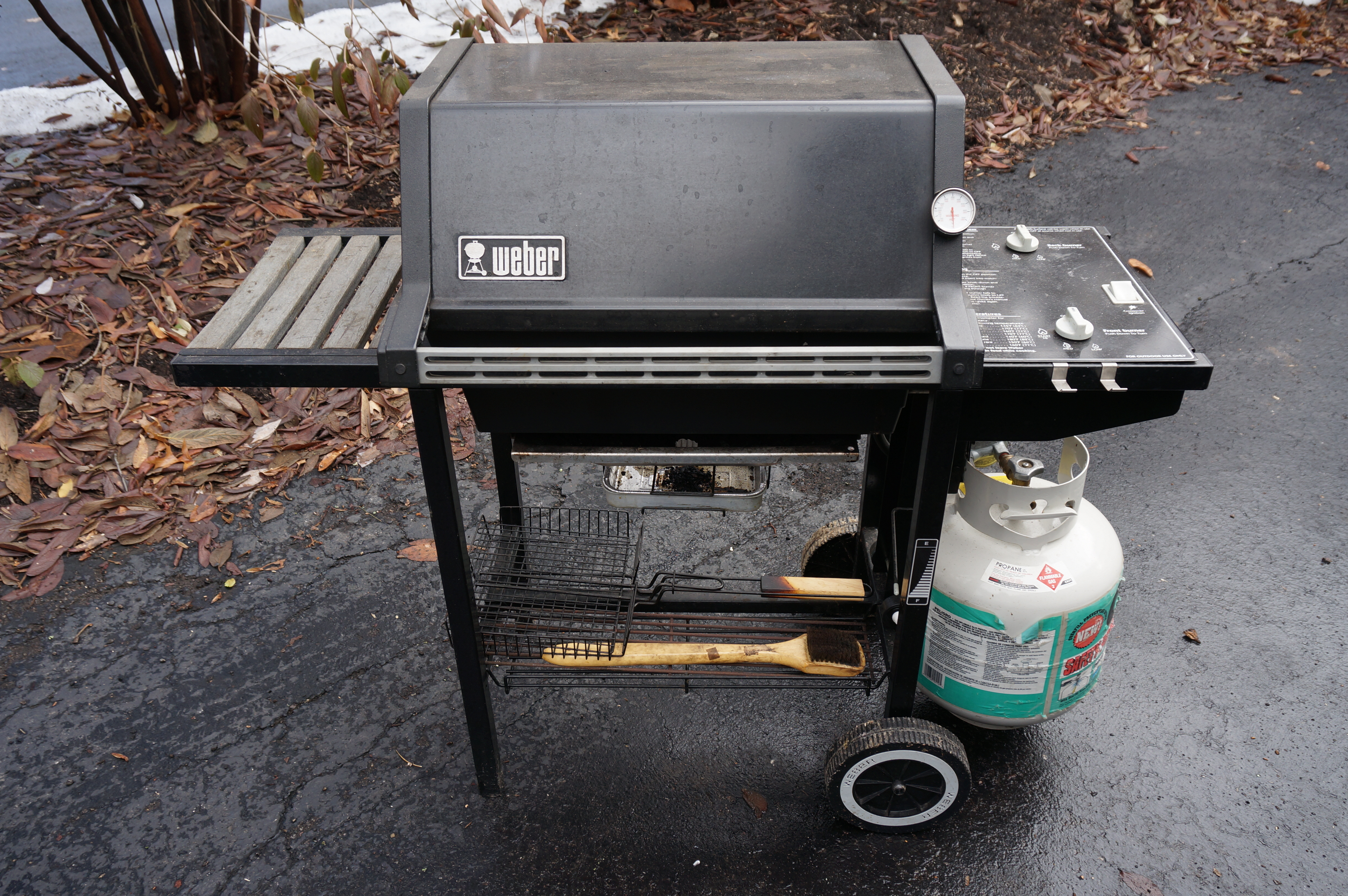 er Gas Grill and Cart EBTH