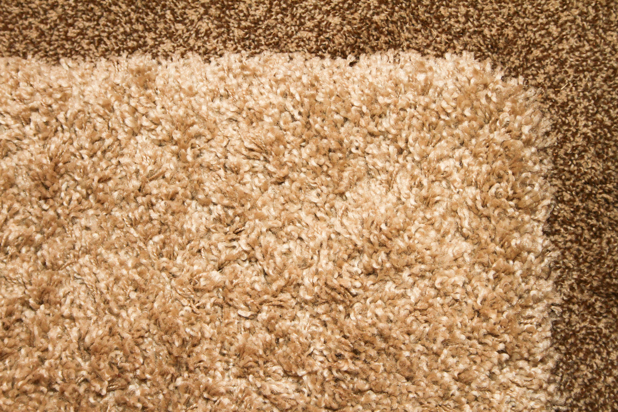 Thomasville Luxury Shag Rug EBTH