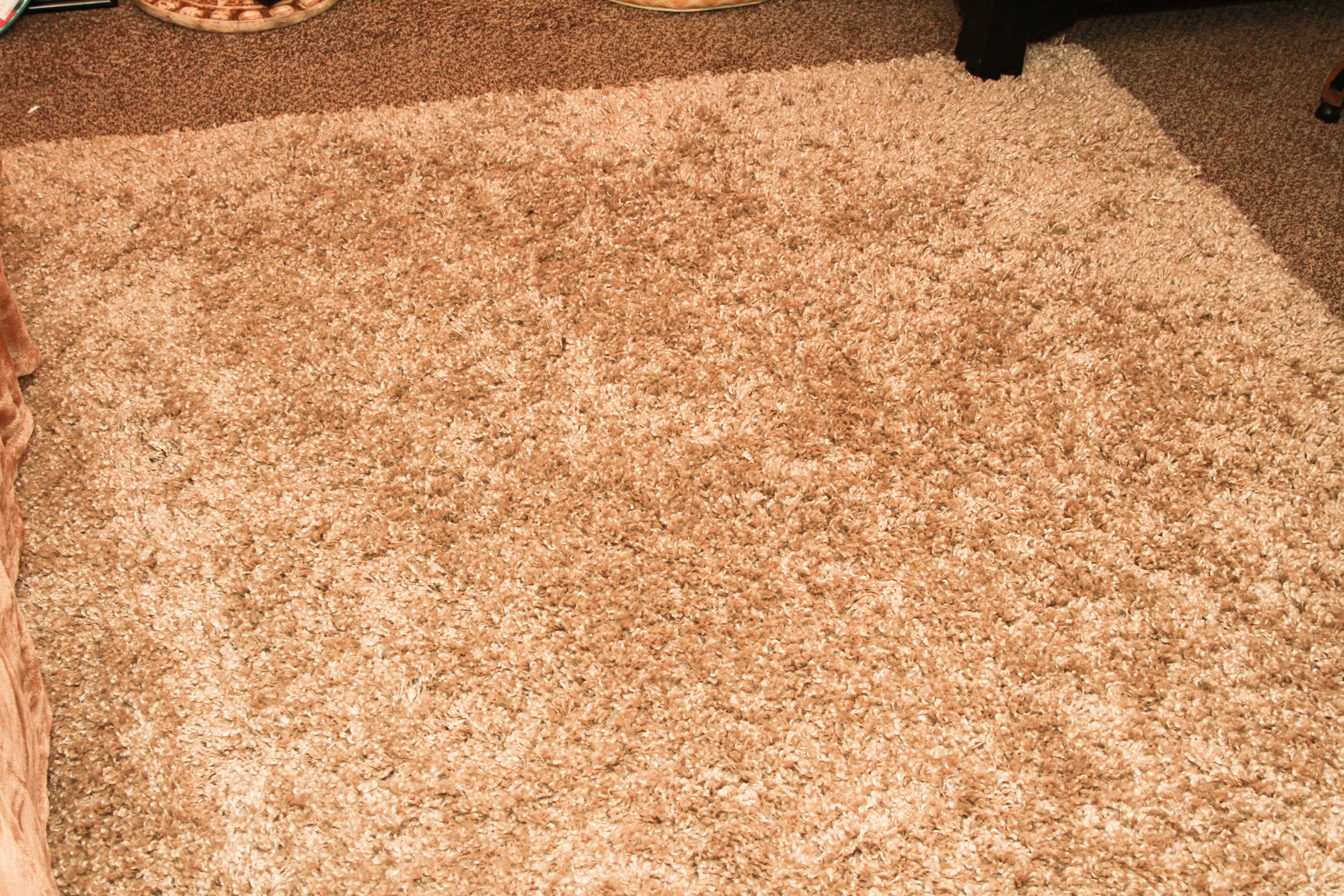 Thomasville Luxury Shag Rug EBTH