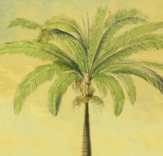 Pair of Palm Tree Prints EBTH