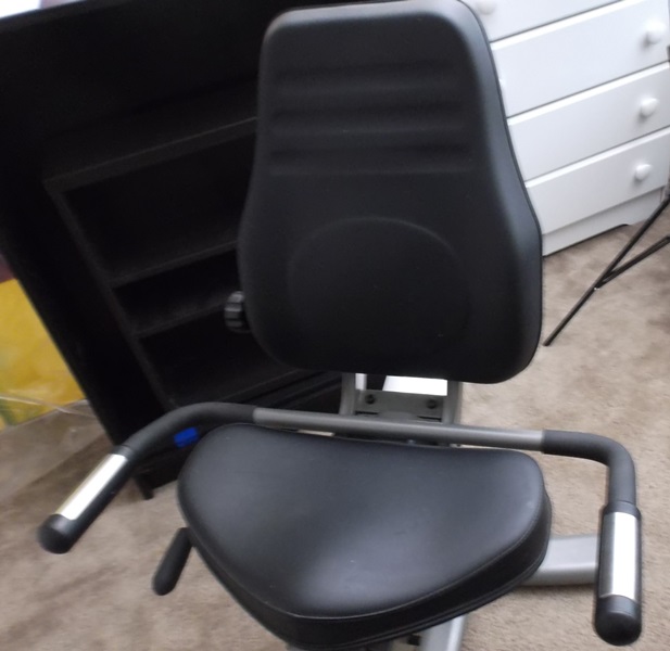 vision fitness r2250 price