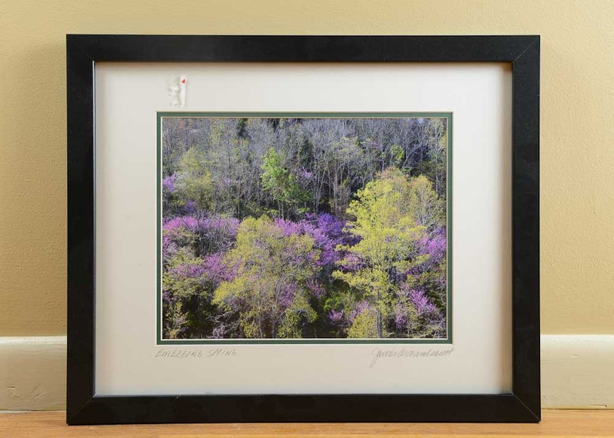 Signed James Archambeault "Emerging Spring" Photographic Print EBTH