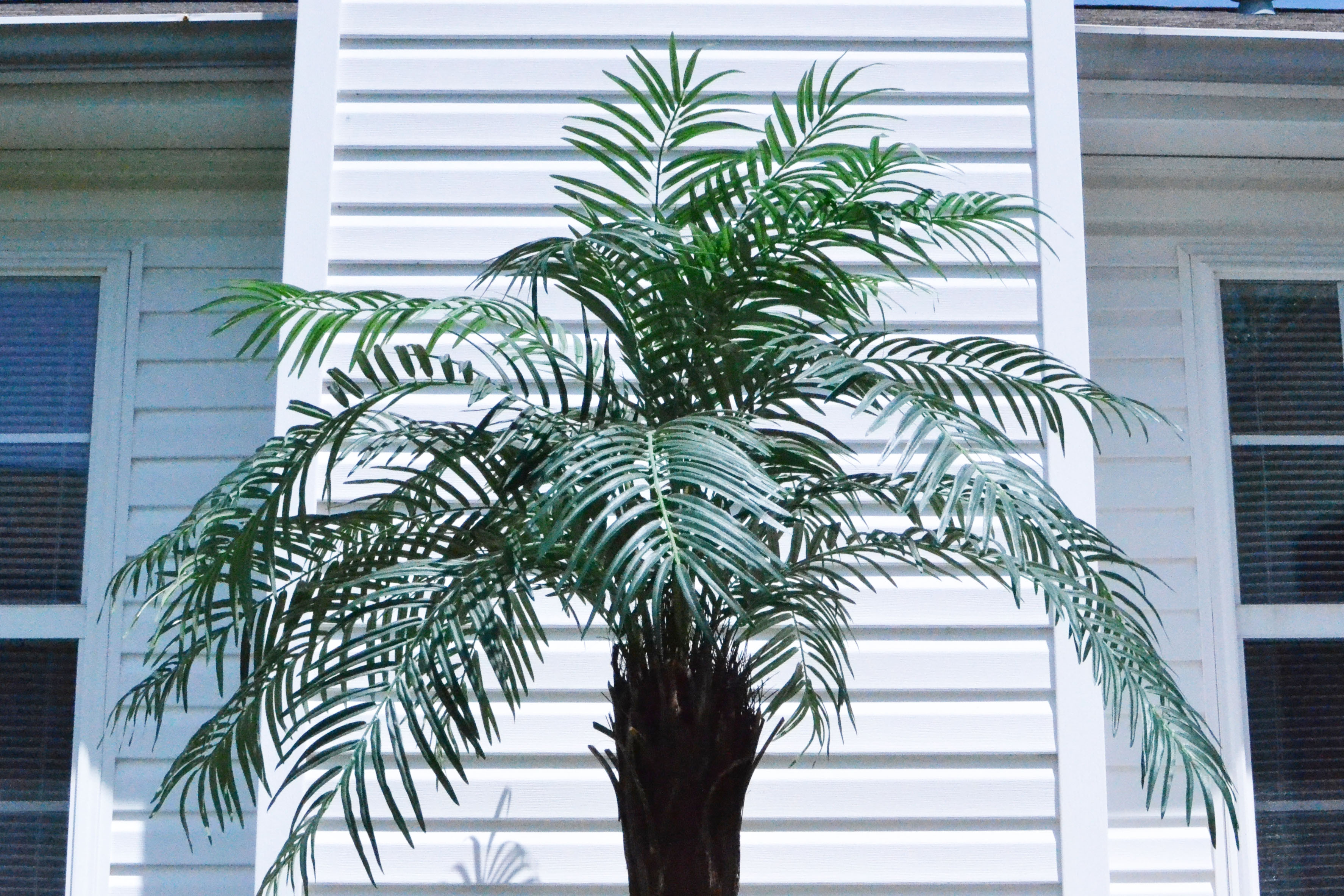 Faux Palm Tree EBTH