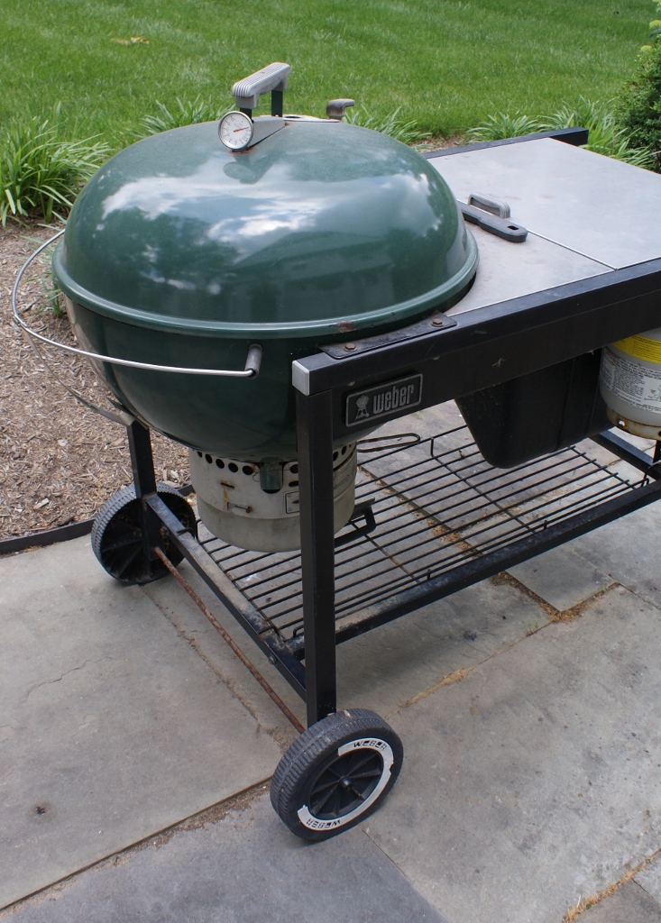 er Charcoal and Gas Combo Grill EBTH