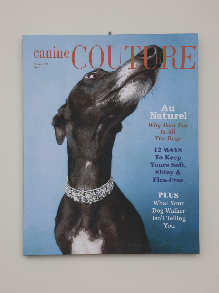 "Canine Couture" Wall Art EBTH