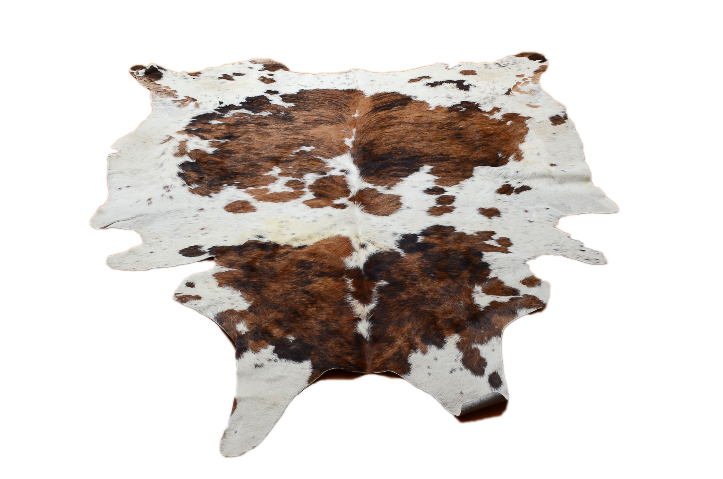 Brindle Longhorn Cowhide Rug Ebth
