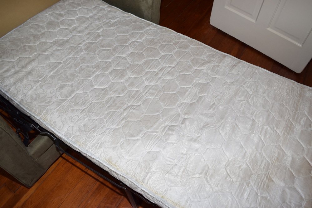 Twin Sleeper Loveseat by Havertys Furniture EBTH