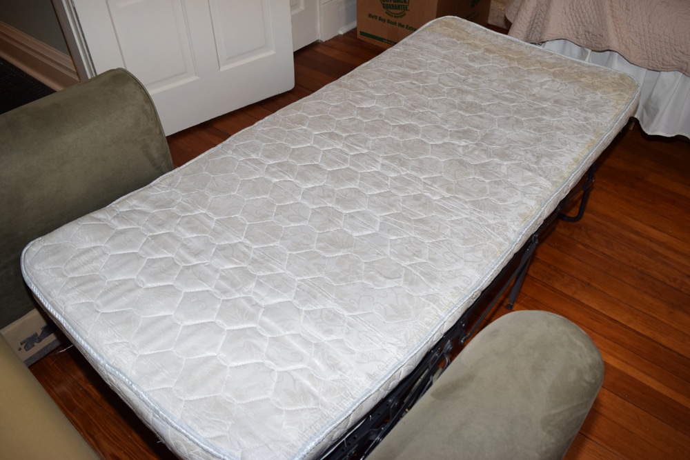 Twin Sleeper Loveseat by Havertys Furniture EBTH