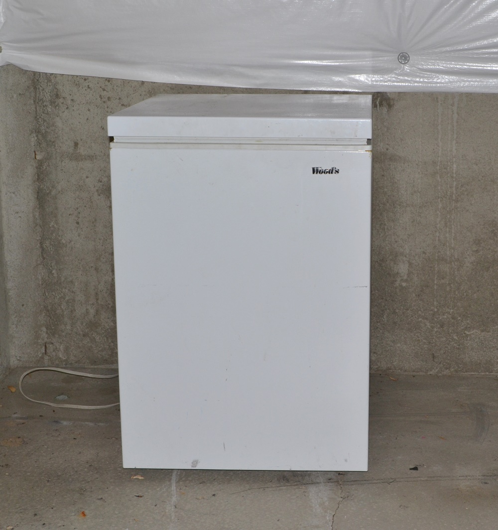 Woods 5.3 Cu. Ft. Compact Chest Freezer EBTH
