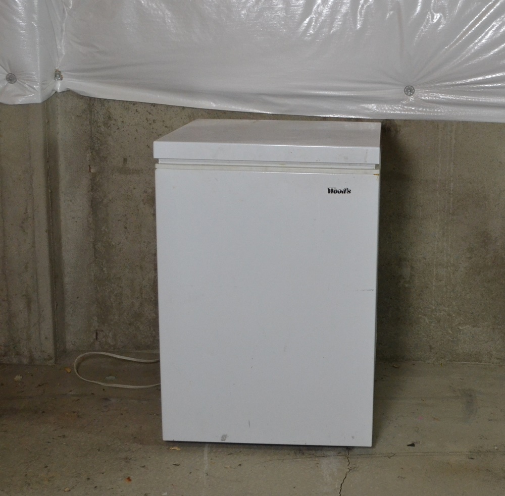 Woods 5.3 Cu. Ft. Compact Chest Freezer EBTH