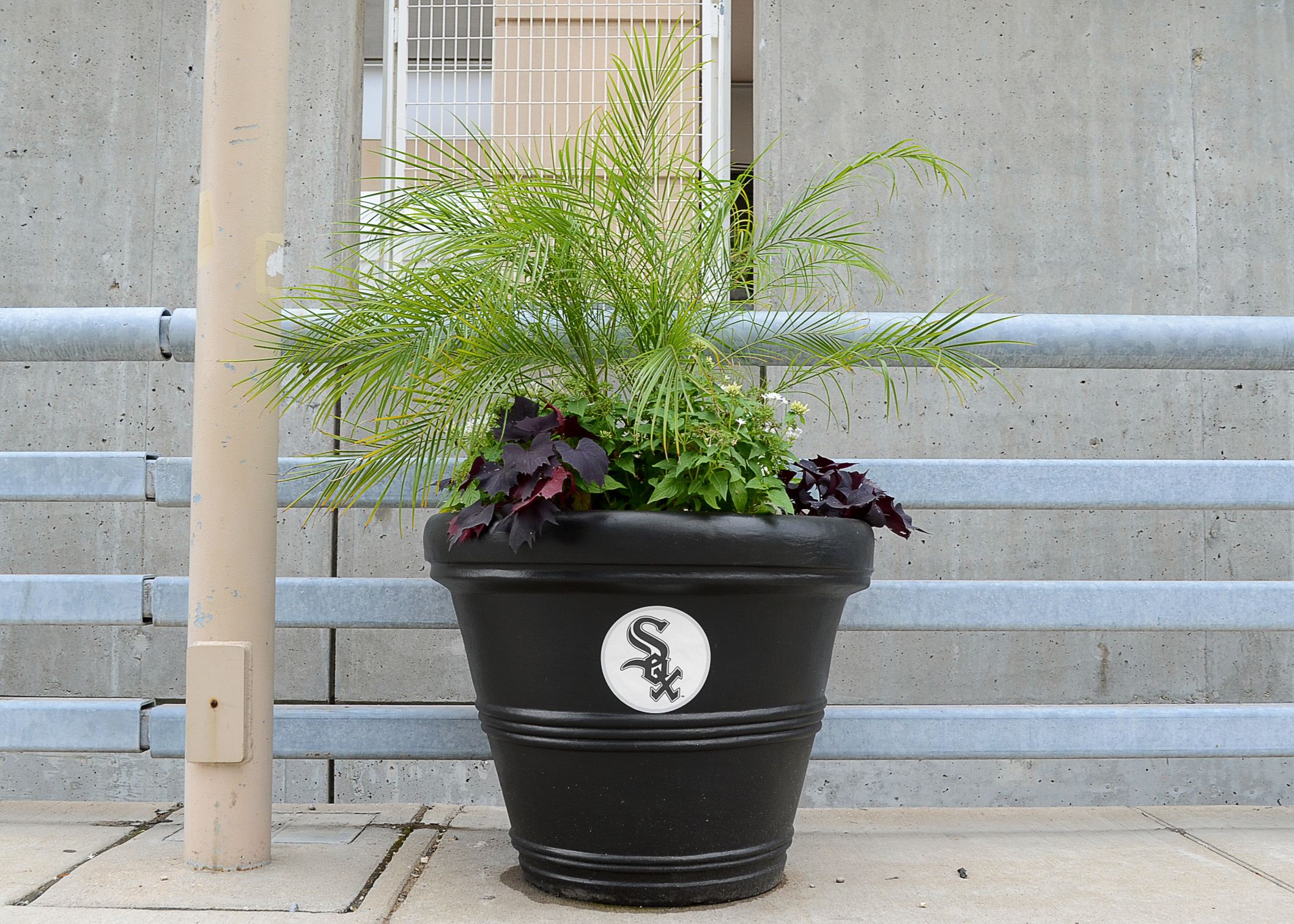 Chicago White Sox Theme Large Flower Pot EBTH