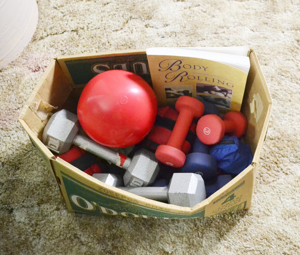 Weider Pro 4100 Home Gym, Hand Weights, & Stability Balls EBTH