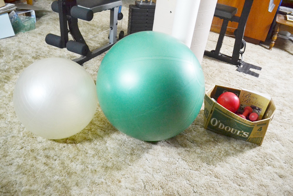 Weider Pro 4100 Home Gym, Hand Weights, & Stability Balls EBTH