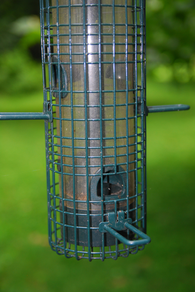 Squirrel Proof Bird Feeders and Stand EBTH