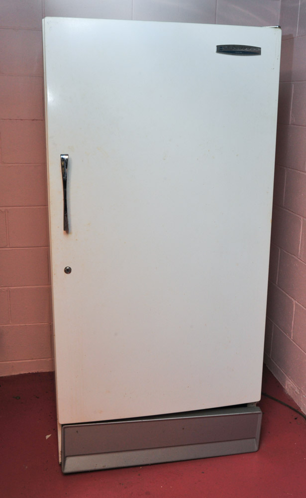 Sears Coldspot Freezer EBTH