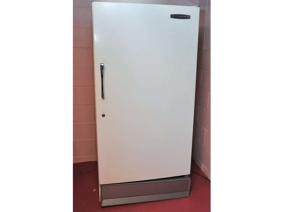 Sears Coldspot Freezer EBTH