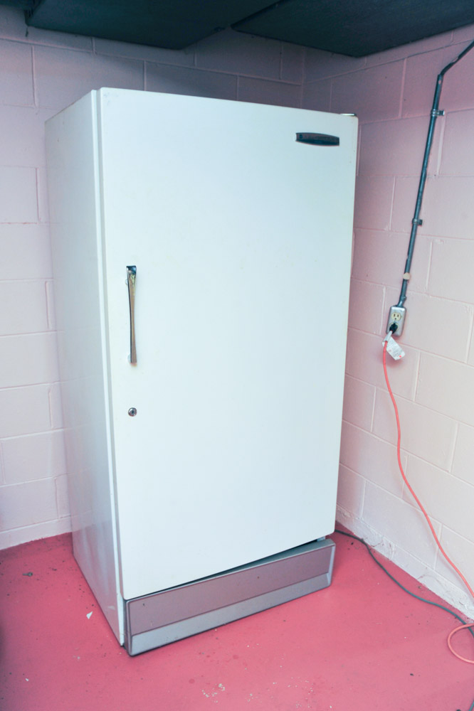 Sears Coldspot Freezer EBTH