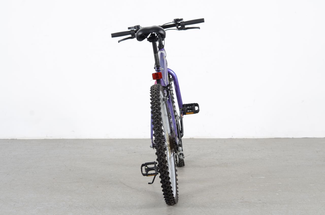 mount fury roadmaster bike