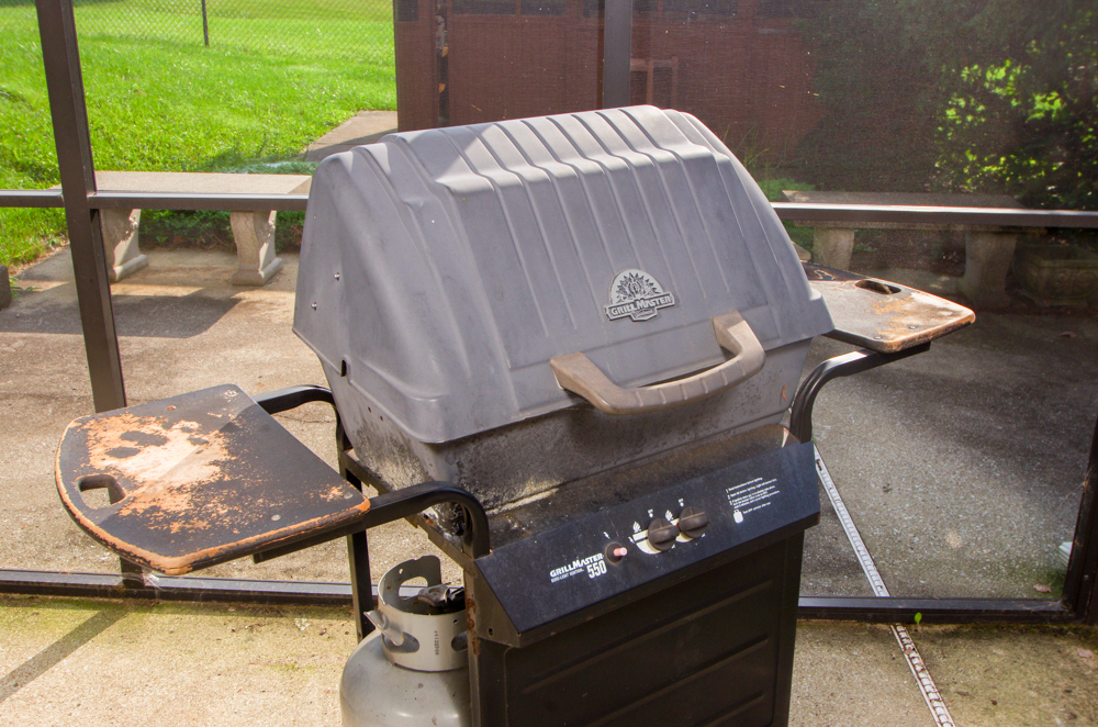 Sunbeam Grillmaster 550 Gas Grill EBTH