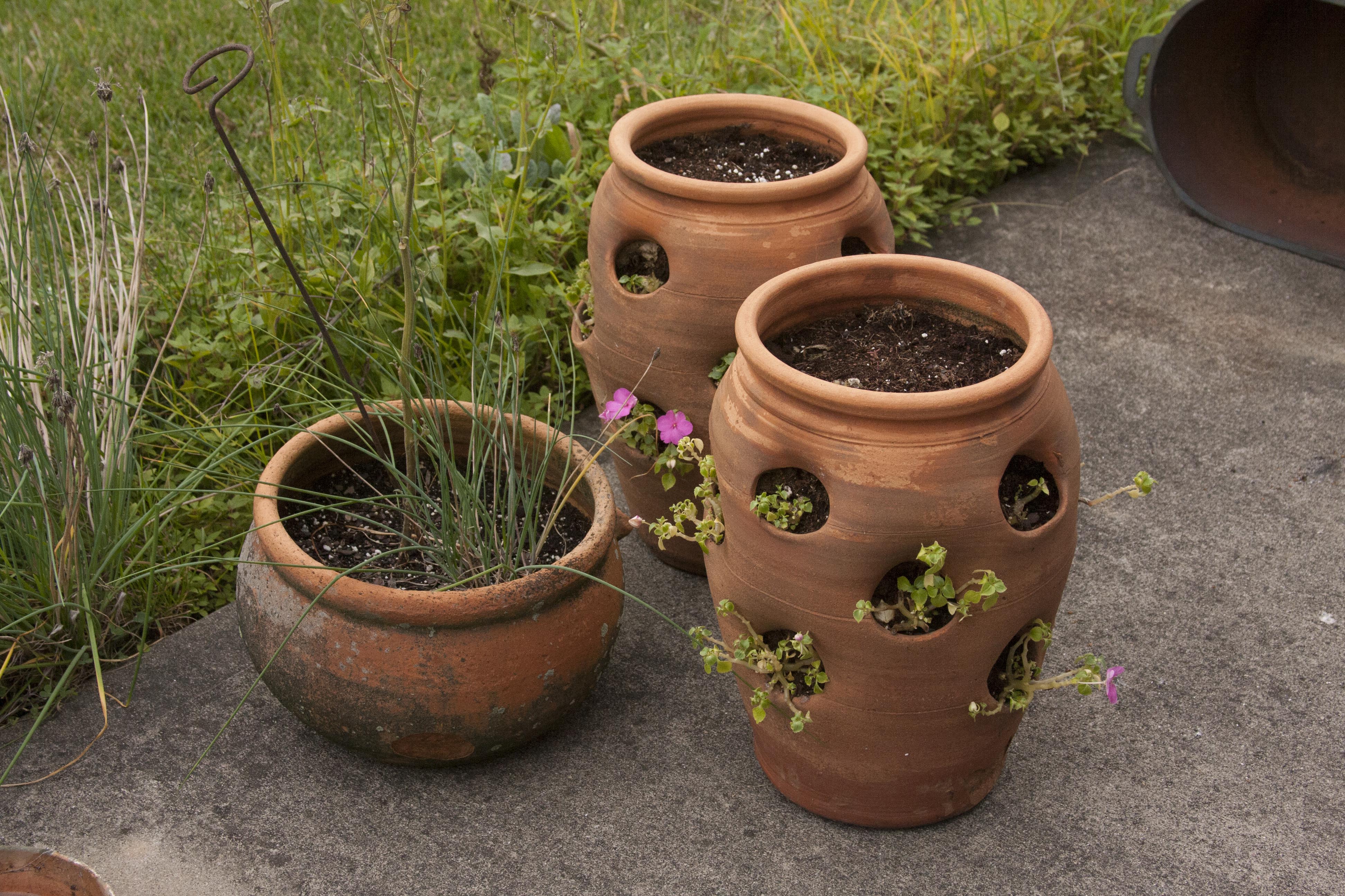 Outdoor Terracotta Patio Pots : EBTH