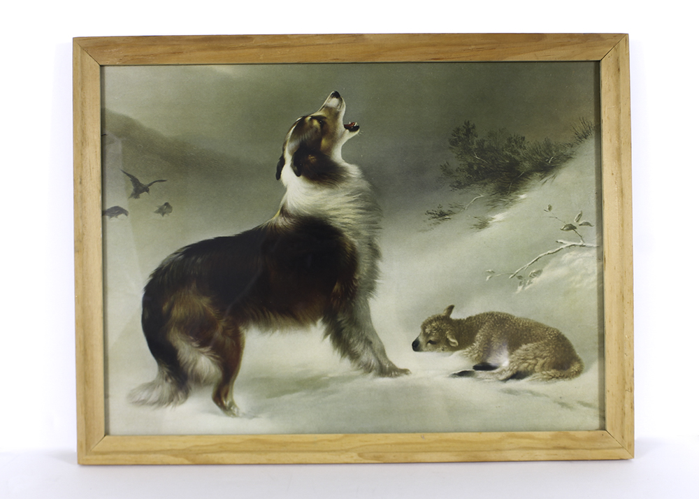 collie and lamb in snow painting