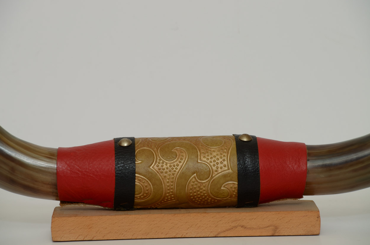 Mounted Tibetan Yak Horns EBTH