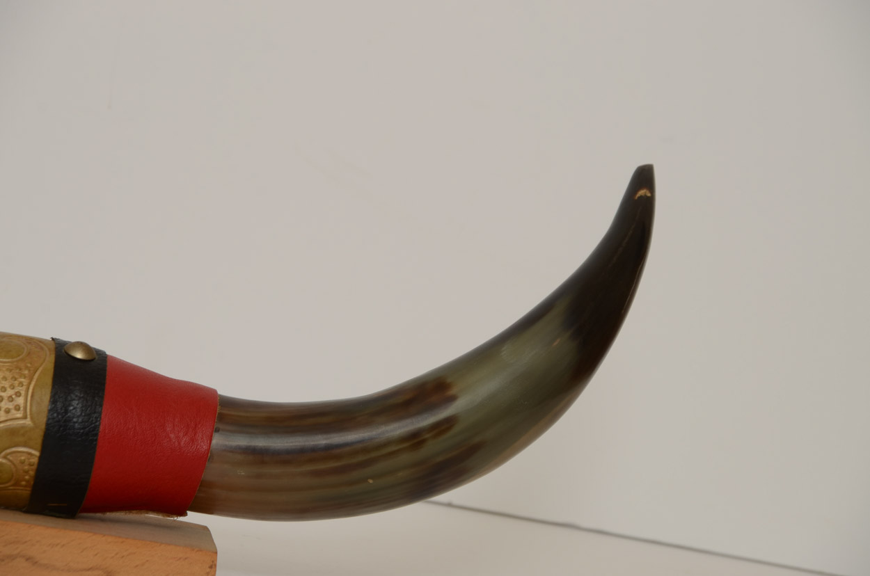 Mounted Tibetan Yak Horns EBTH