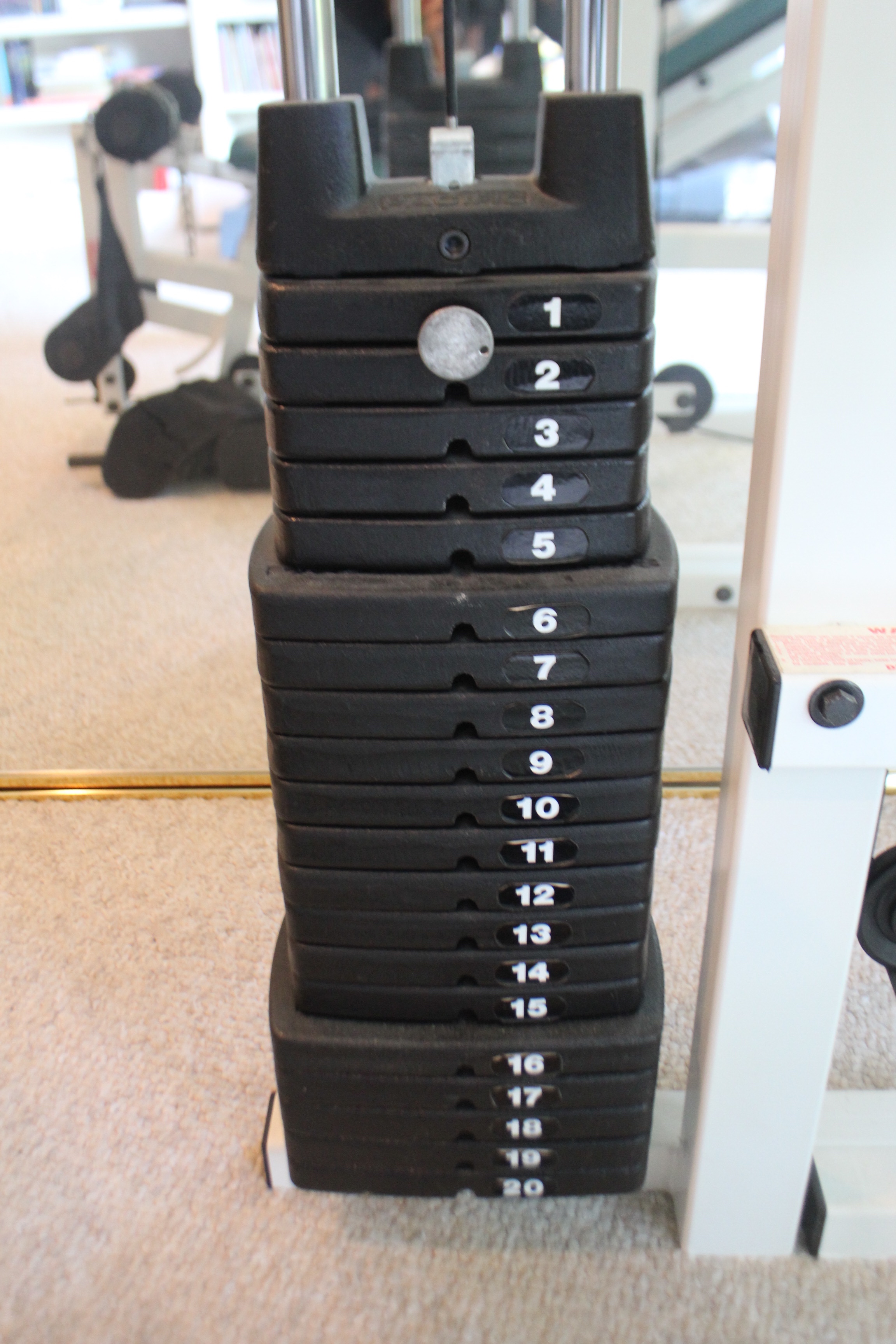 Pacific Fitness Del Mar Home Gym EBTH