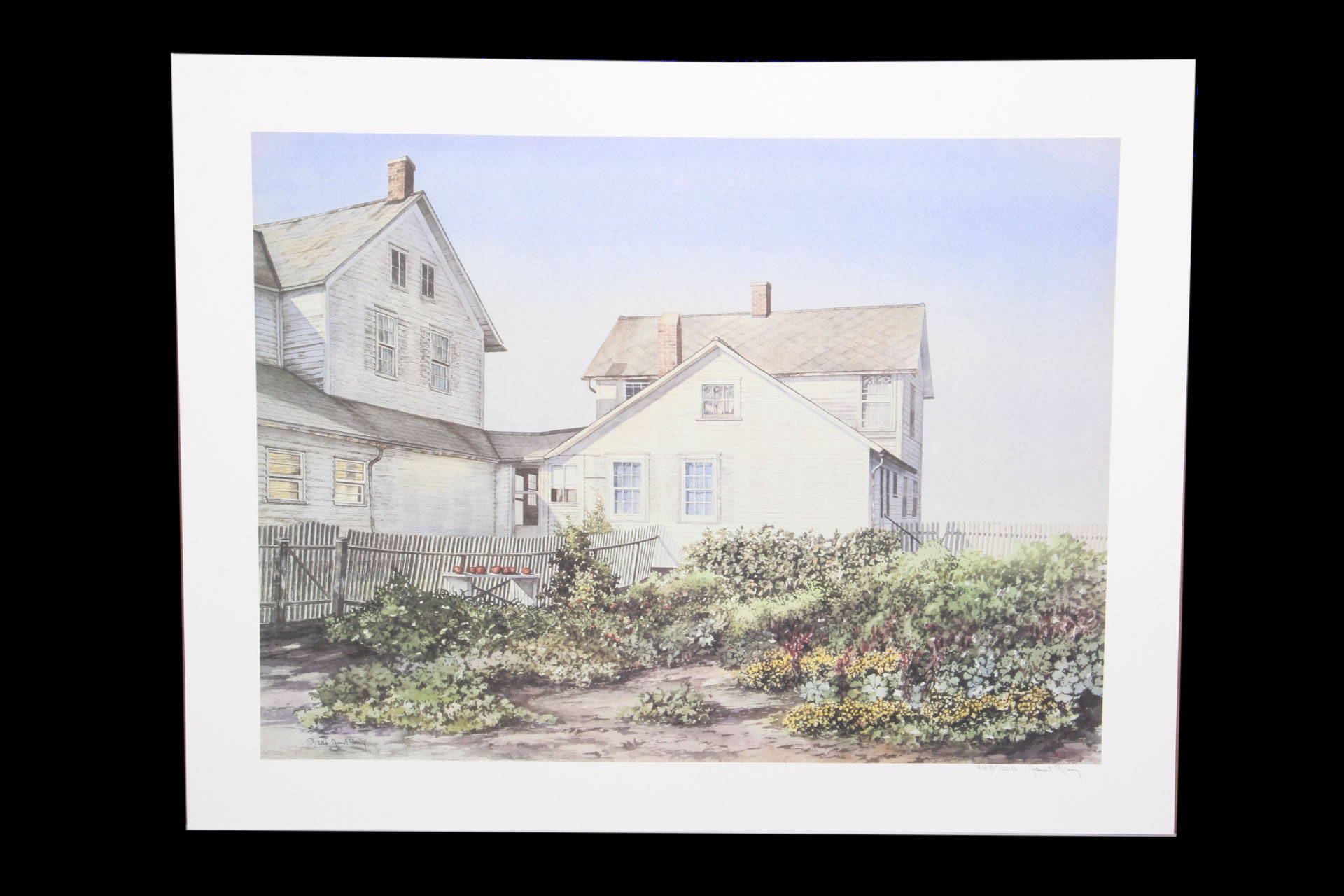 Roney Signed Print "Amish Blue Curtains" EBTH