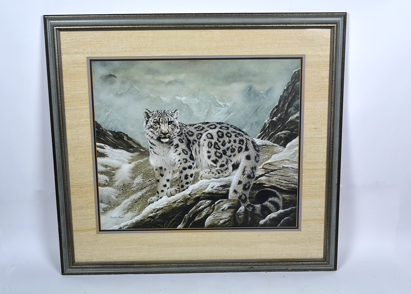 Framed Charles Frace' Snow Leopard Print EBTH