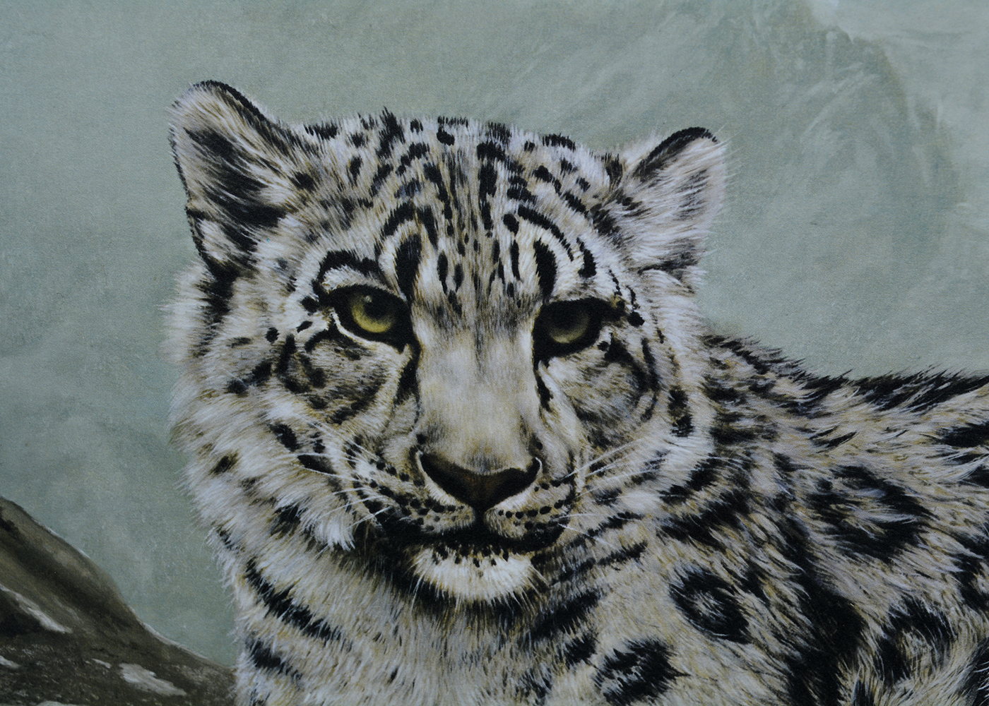 Framed Charles Frace&rsquo; Snow Leopard Print | EBTH