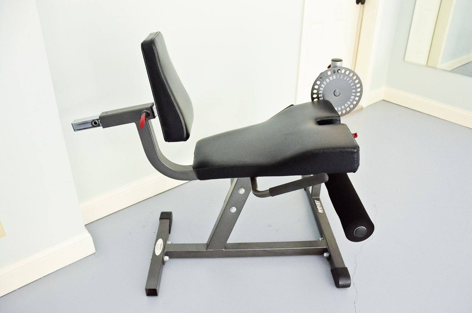 Hoist Leg Extension Machine EBTH