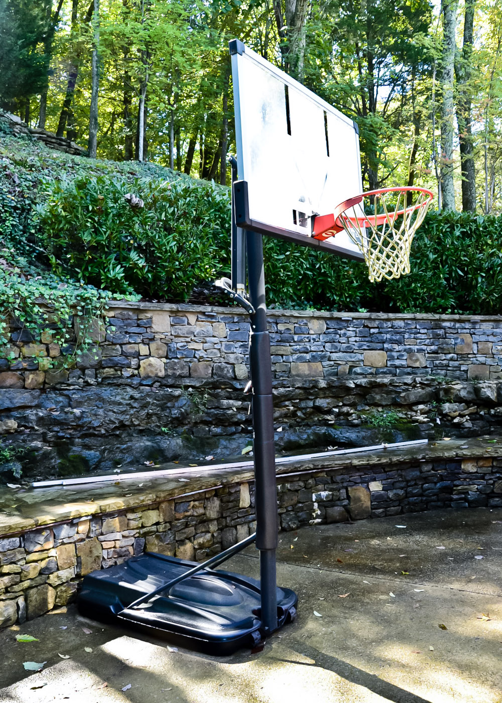 Lifetime Elite Basketball Hoop EBTH