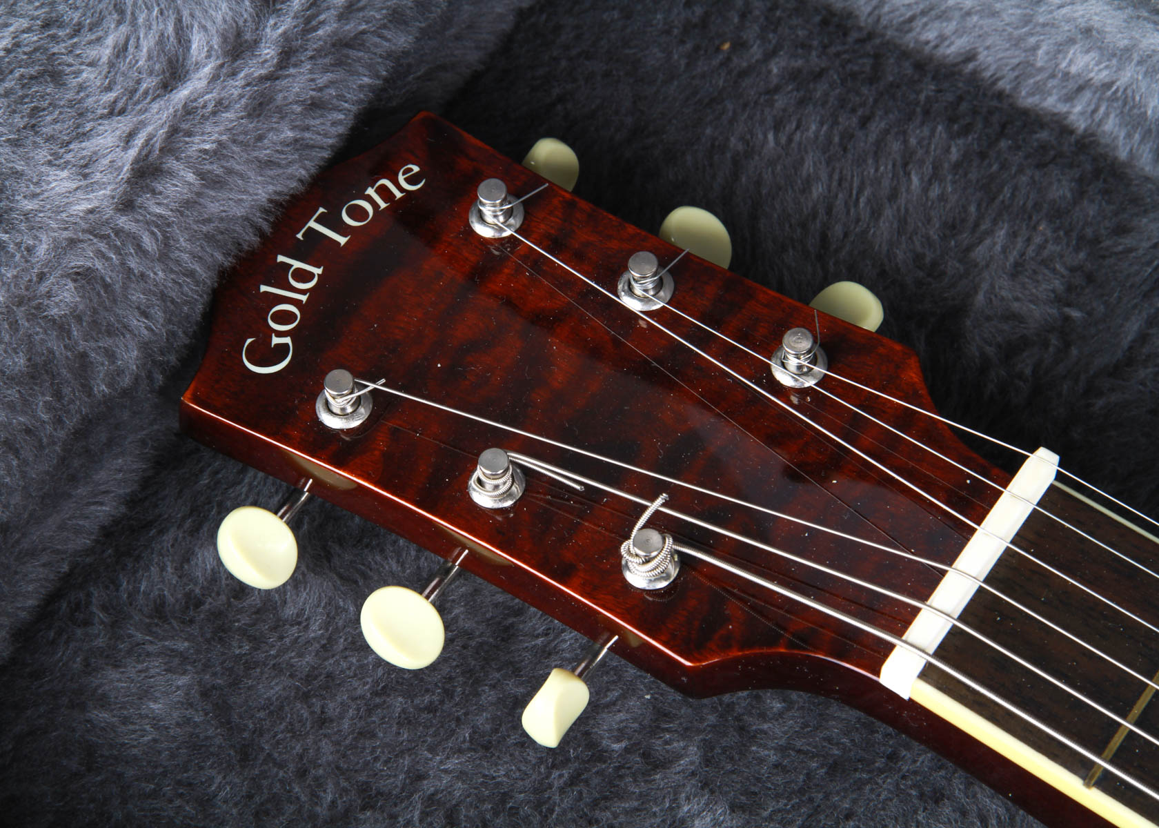 Gold Tone Lap Steel Guitar in Case EBTH