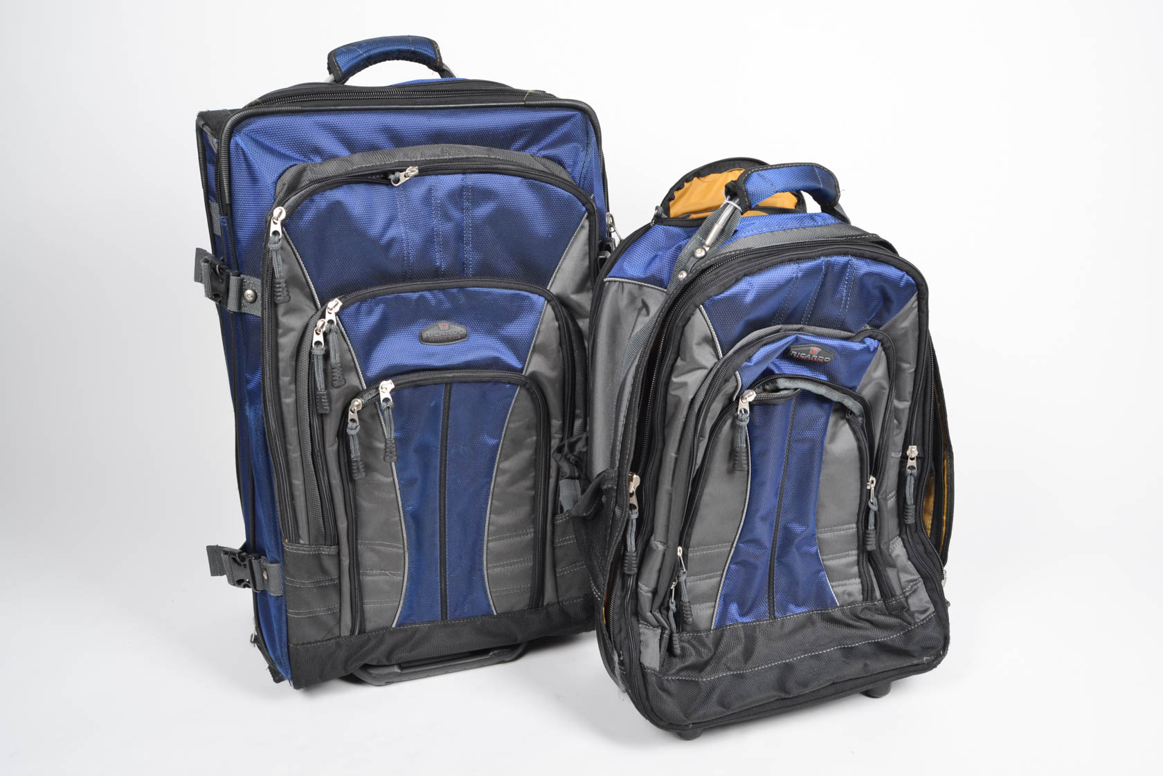 Pair of Ricardo Beverly Hills Luggage EBTH