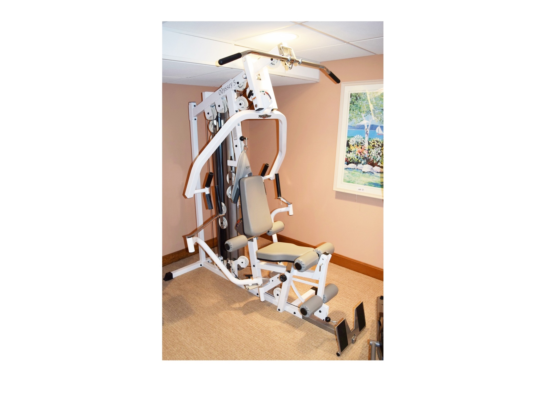 odyssey 5 home gym