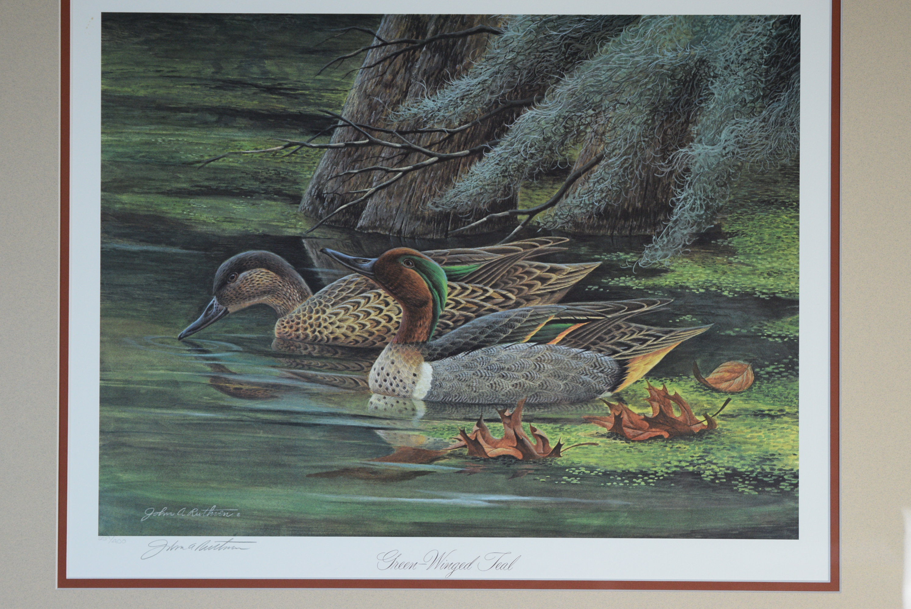 John Ruthven "GreenWinged Teal" Signed Offset Lithograph EBTH