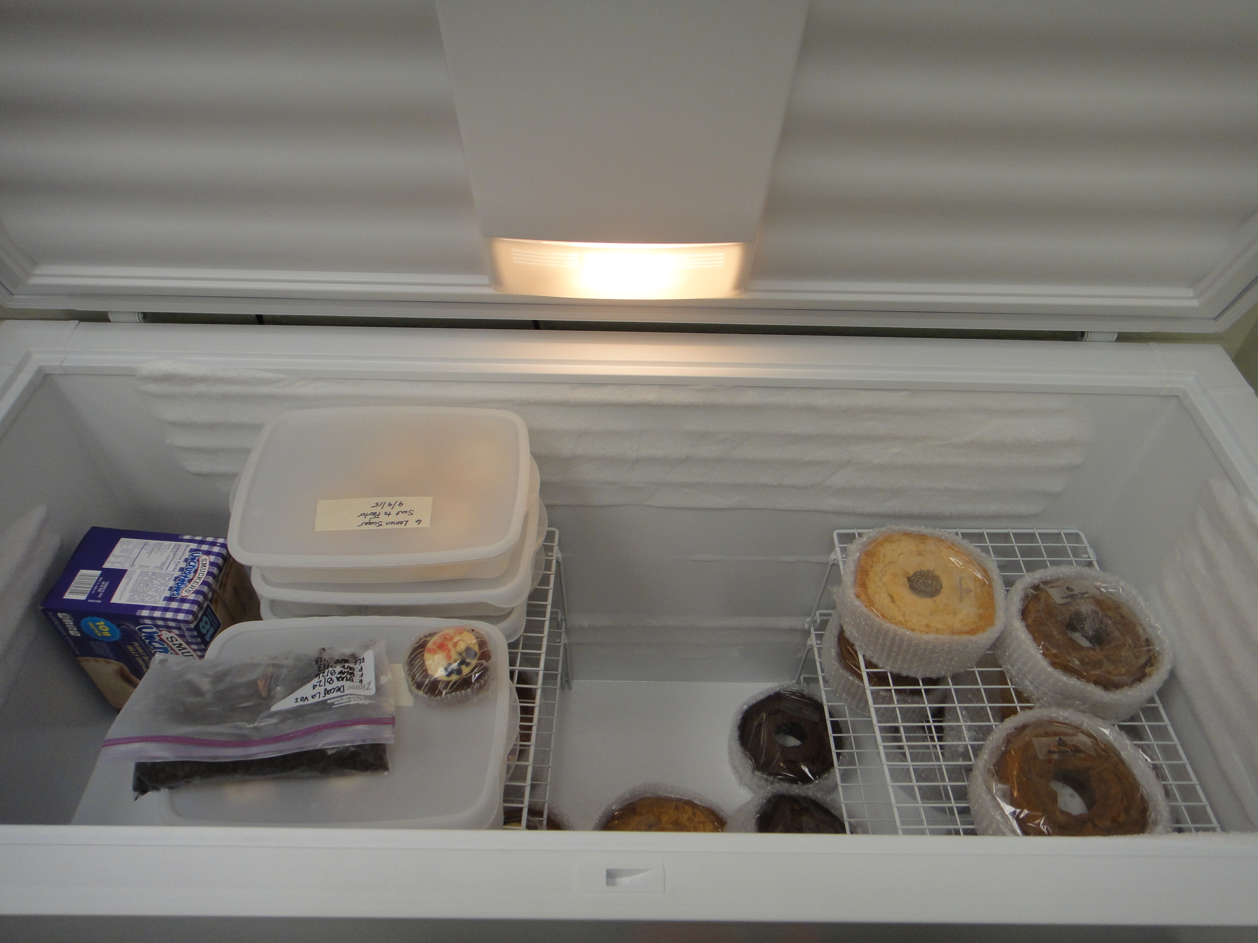 Kelvinator Commercial Chest Freezer Model No. KCS200GW EBTH