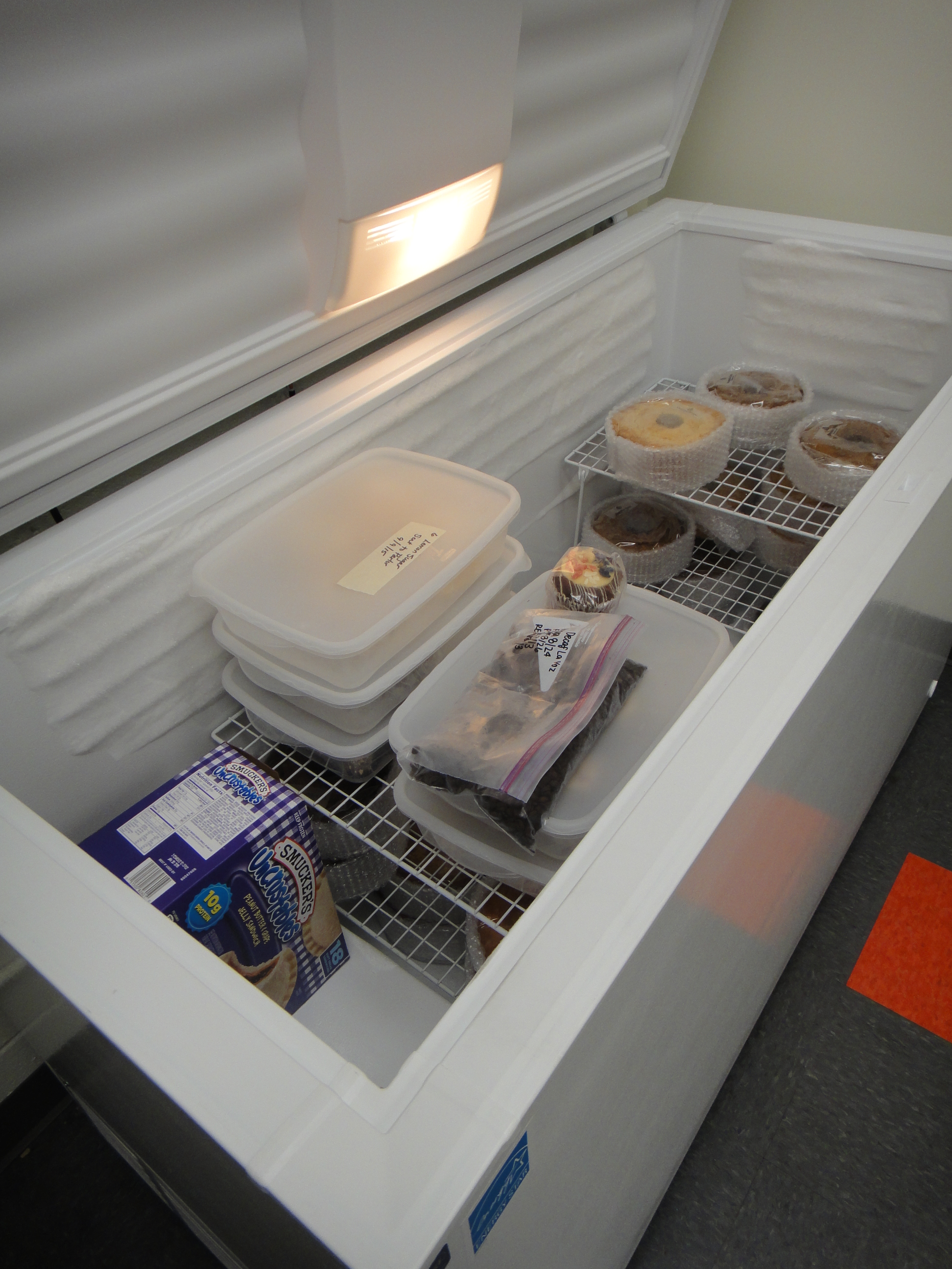 Kelvinator Commercial Chest Freezer Model No. KCS200GW EBTH