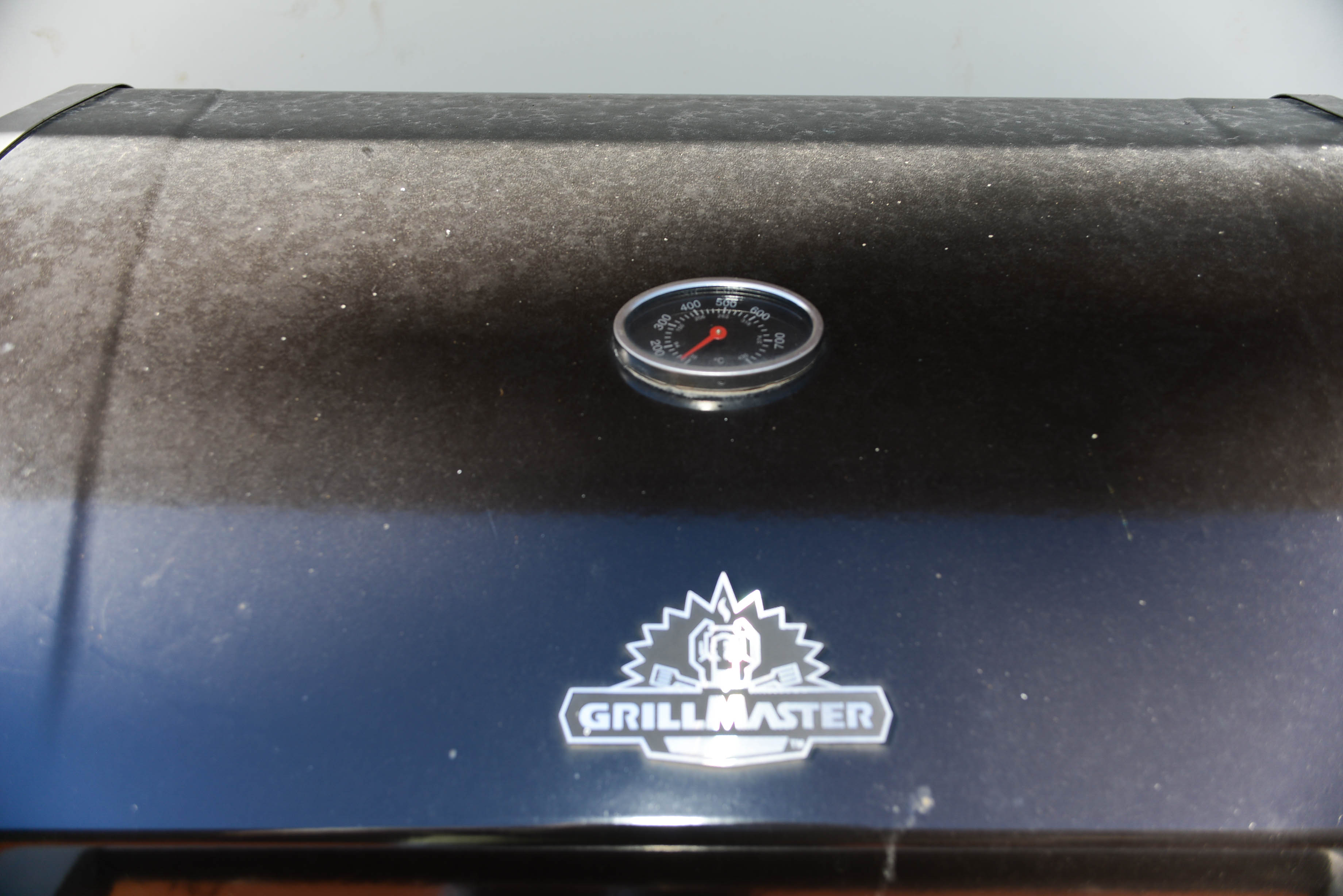 Grillmaster ThreeBurner Gas Grill with Side Burner EBTH