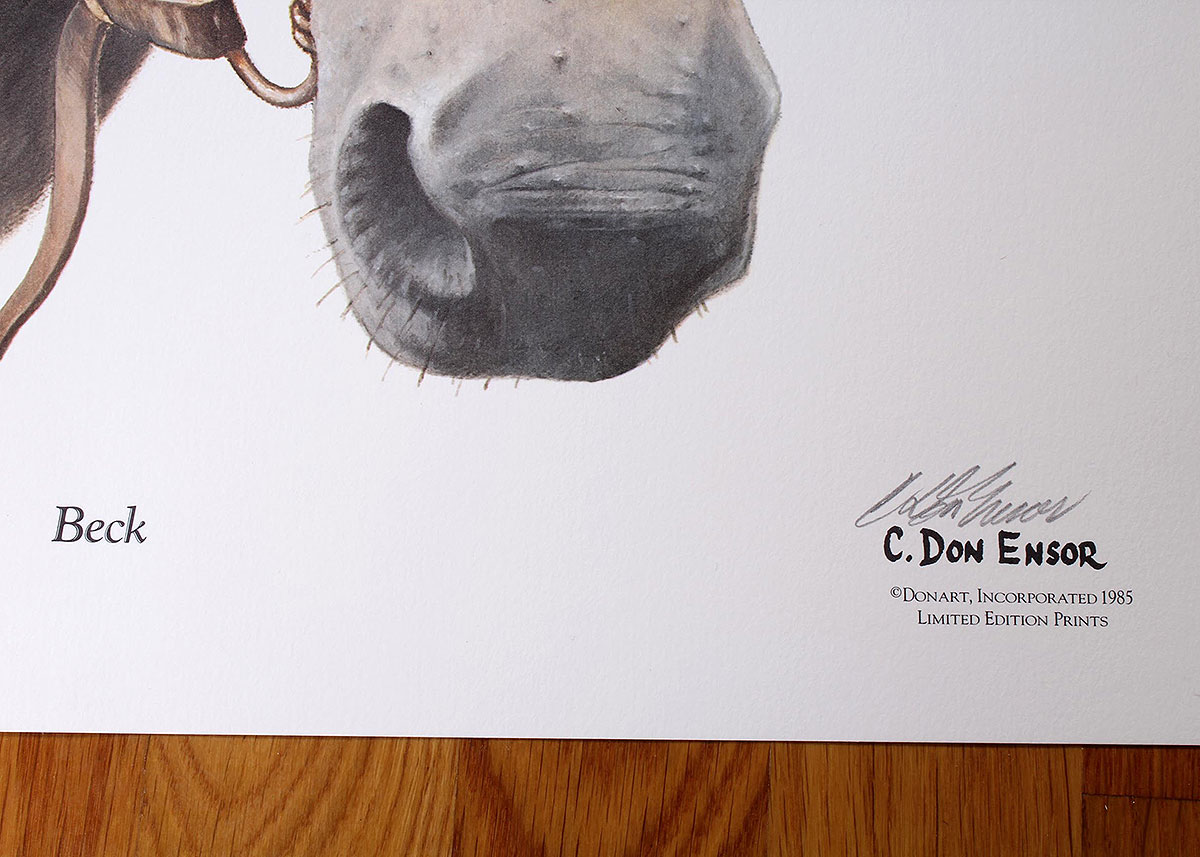 C Don Ensor Signed Offset Lithographs of Horses EBTH