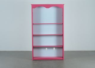 Pink Bookshelf EBTH