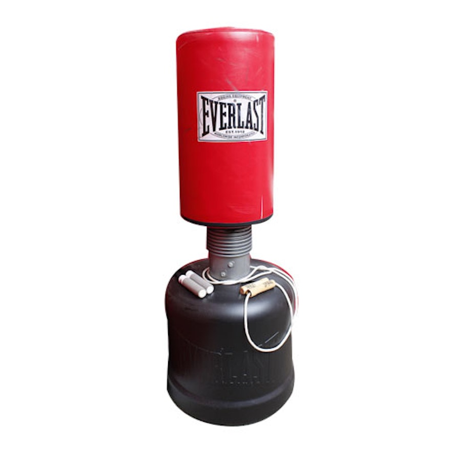 Everlast Free Standing Punching Bag | EBTH