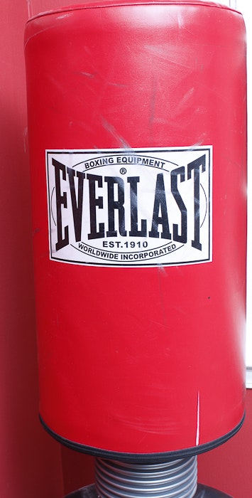 Everlast Free Standing Punching Bag | EBTH