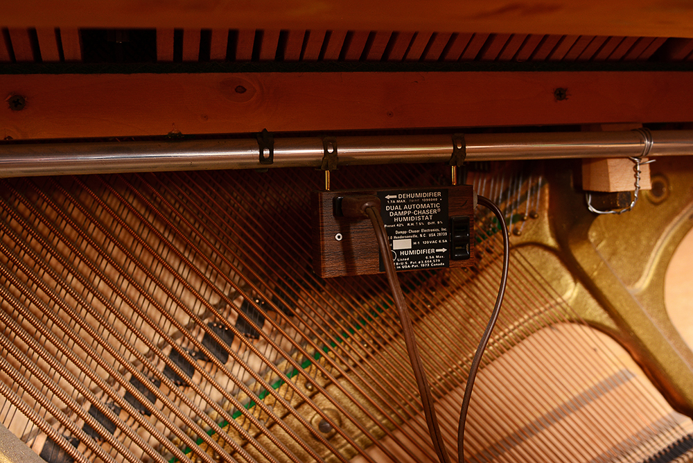 Faq Questions Related To Louisianas Segment 2 Of Reopening