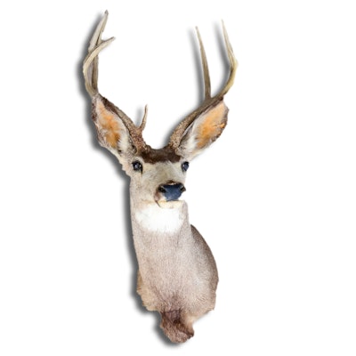Vintage Decor Auctions | Vintage Home Decor for Sale in Denver, CO ... Vintage Decor Auctions | Vintage Home Decor for Sale in Denver, CO ...