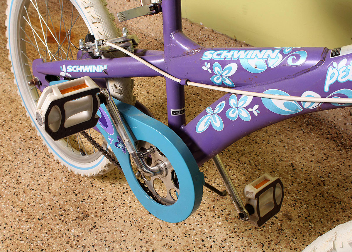 20" Girls' Schwinn Petal Patch Bicycle EBTH