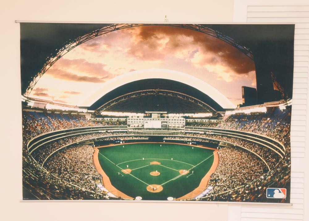 Pottery Barn Baseball Field Screen EBTH