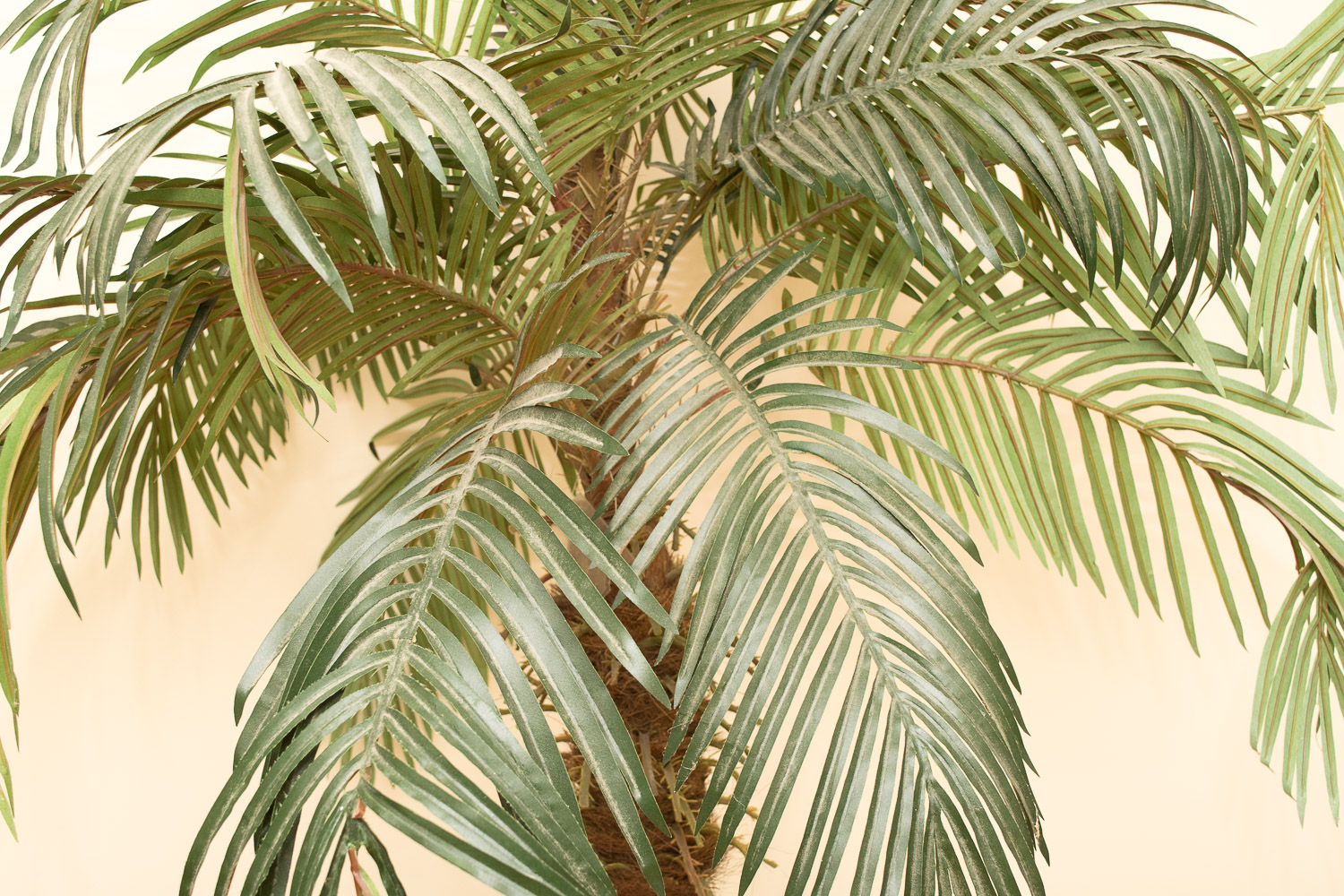 Group of Three Faux Tropical Plants EBTH